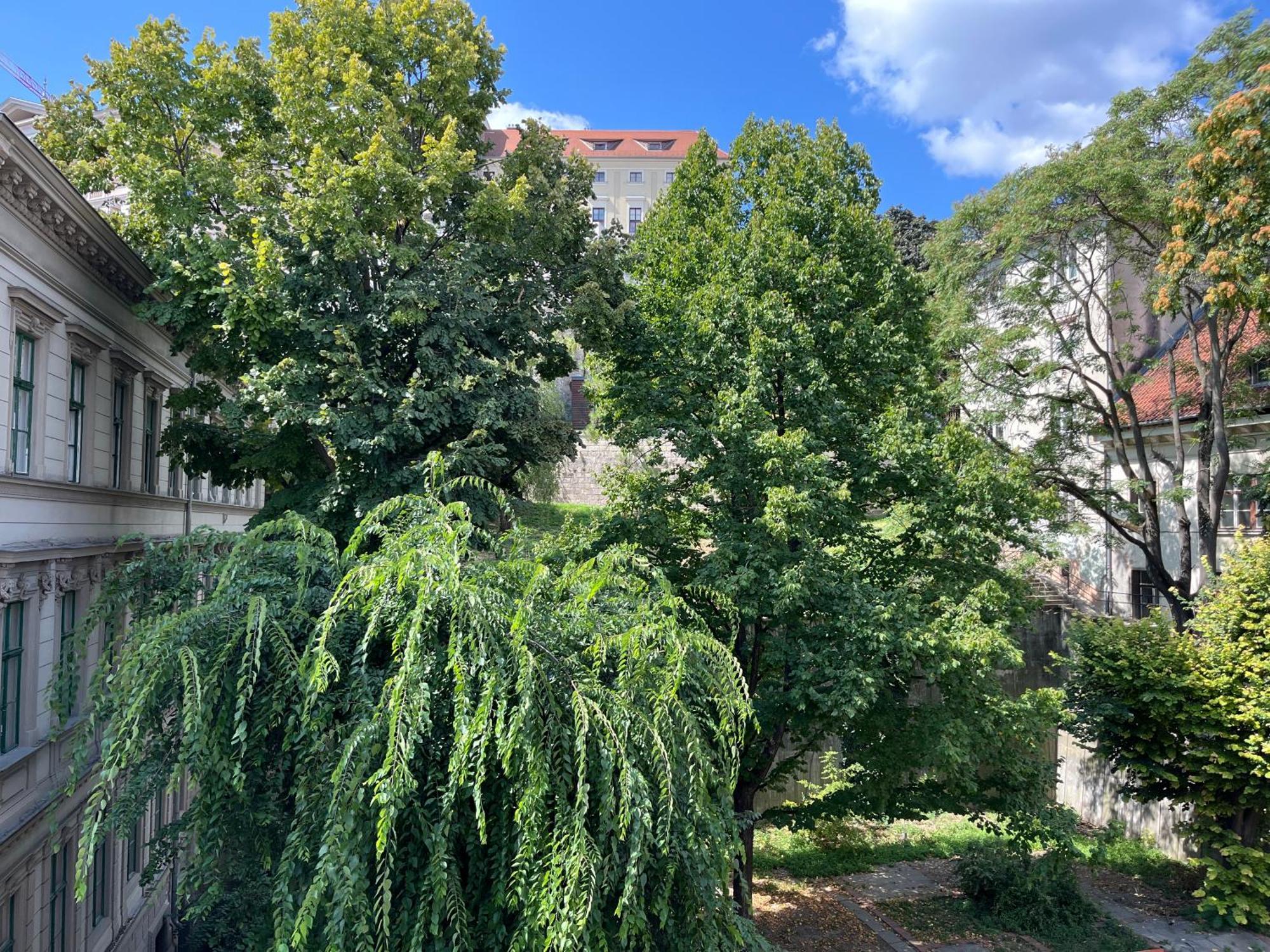Sunny Studio At The Castle ブダペスト エクステリア 写真